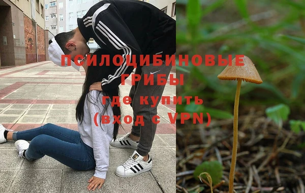 соль ск Семёнов