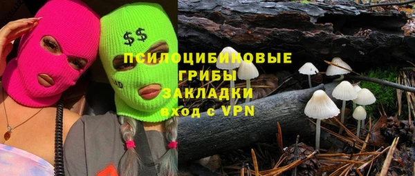 гашик Лиски