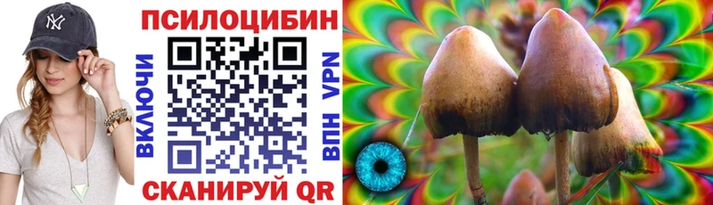 Псилоцибиновые грибы MAGIC MUSHROOMS  Томск 