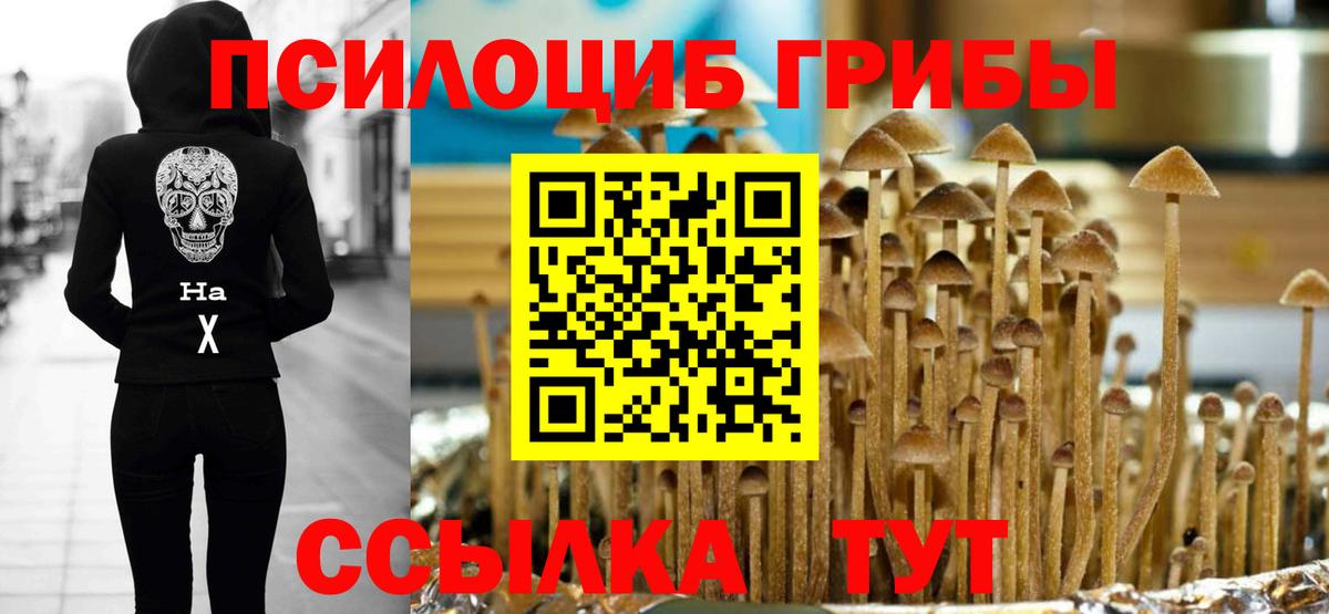 Галлюциногенные грибы Psilocybe Томск